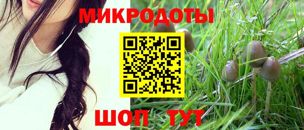 Галлюциногенные грибы Cubensis Жигулёвск
