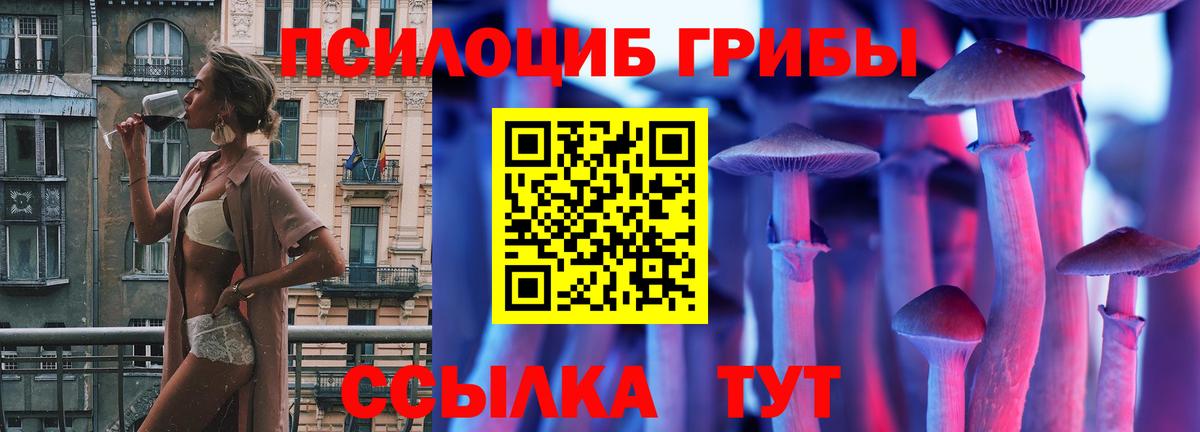 Жигулёвск  Псилоцибиновые грибы Cubensis  сколько стоит  Вход с VPN 